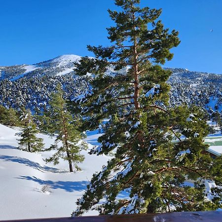 Greolieres Les Neiges公寓 外观 照片