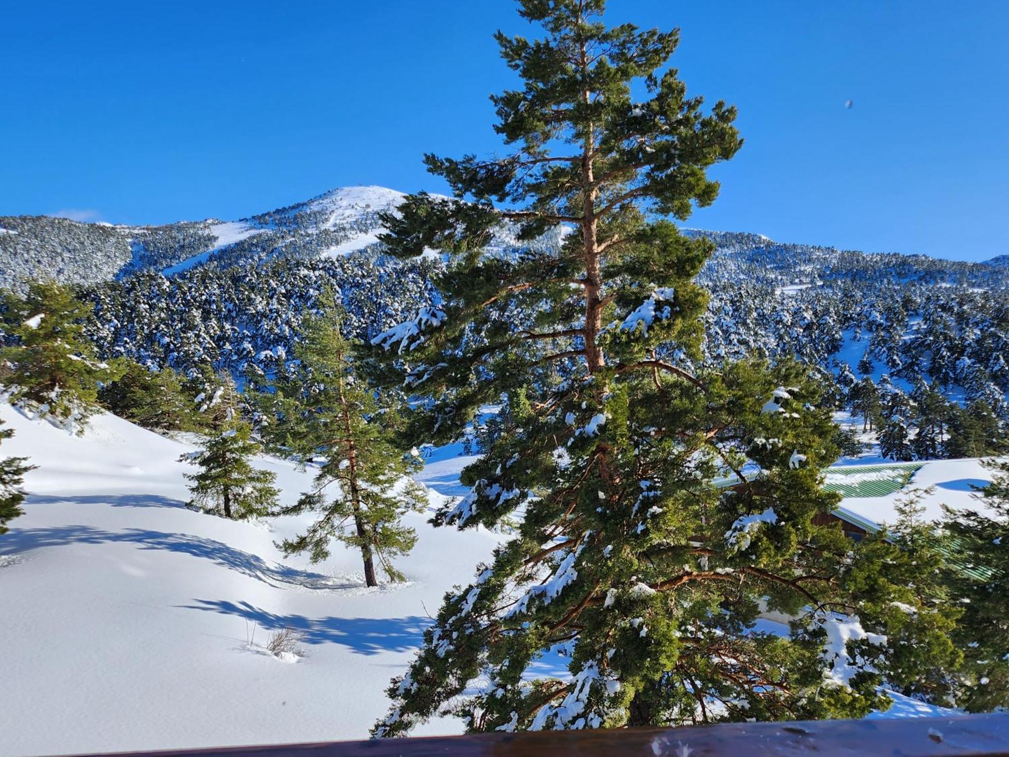 Greolieres Les Neiges公寓 外观 照片