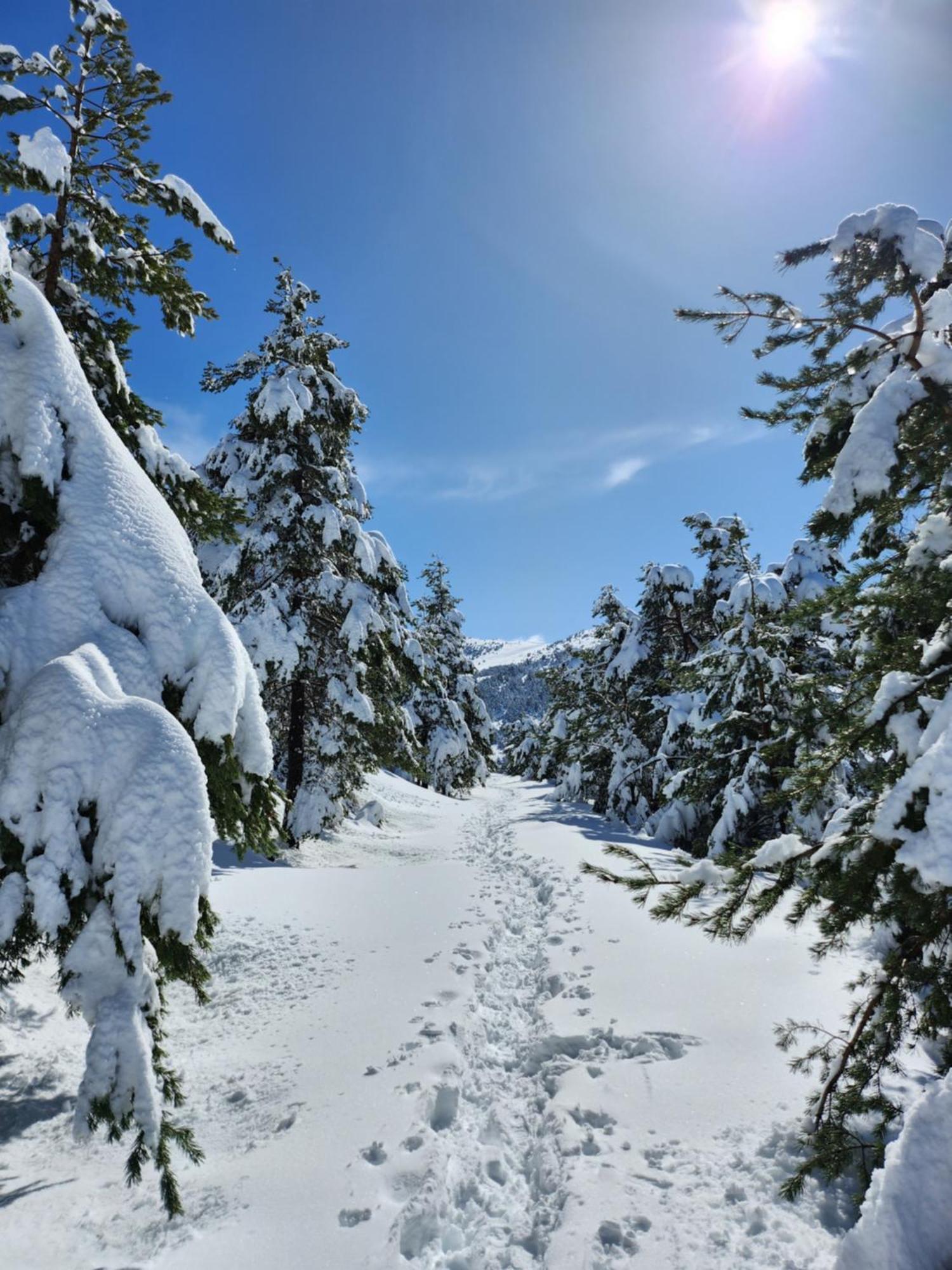Greolieres Les Neiges公寓 外观 照片